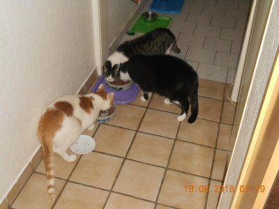 DSCN4953.JPG