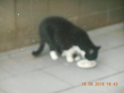 DSCN4952.JPG
