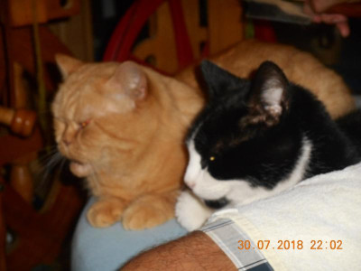 DSCN4937.JPG