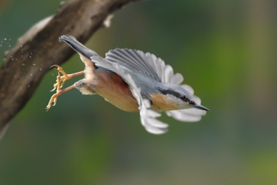 abflug.jpg