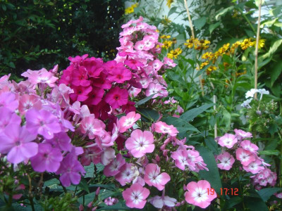 DSC05423.JPG