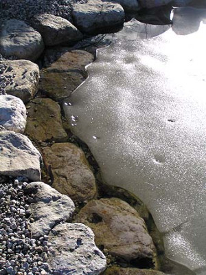 teich.jpg