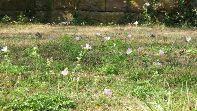 DSCN3622.JPG