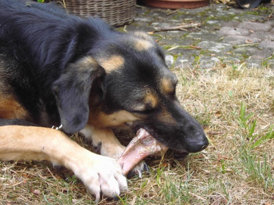 PICT2336.JPG