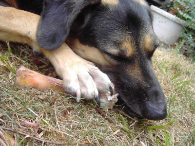 PICT2327.JPG