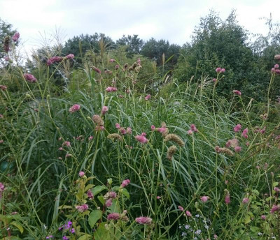 _20180821_201723.JPG