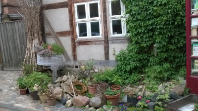 WP_20180511_012.jpg