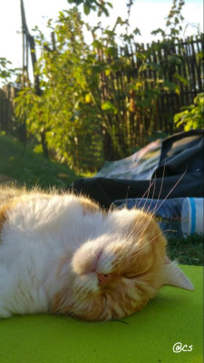 2018-08-23-11-09-04.jpg