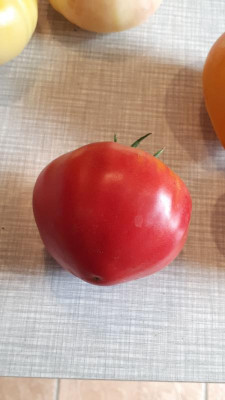 20180824_075758.jpg