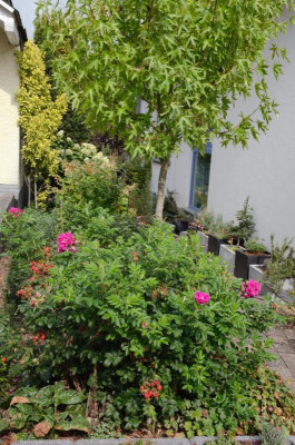 Garagenbeet.18-1.jpg
