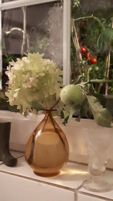20180820_214056.jpg