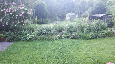 20180621_064005.jpg