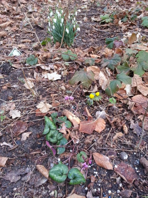 20170301_084757.jpg