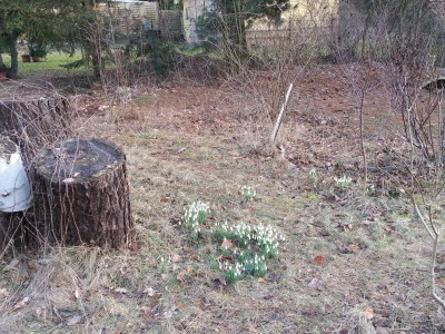 20170301_084640.jpg