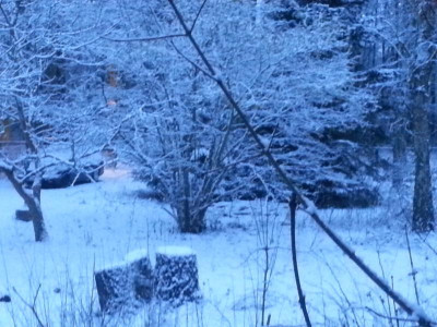 20150203_073158.jpg