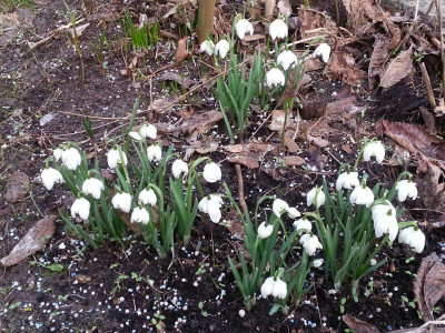20170301_084550.jpg