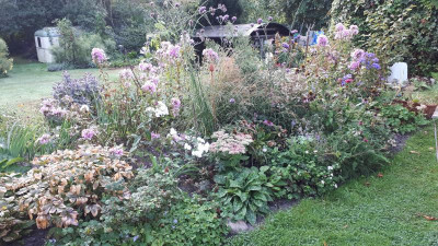 20180829_073405.jpg