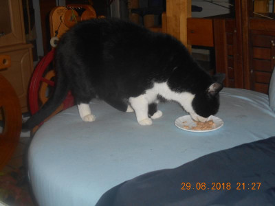 DSCN4956.JPG