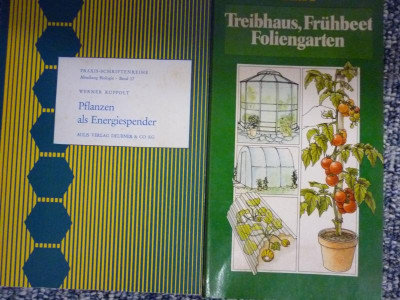 P1050195.JPG