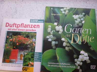 P1050197.JPG