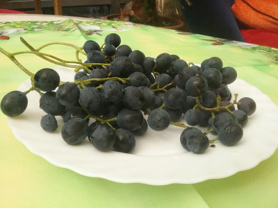 20180830_122900.jpg