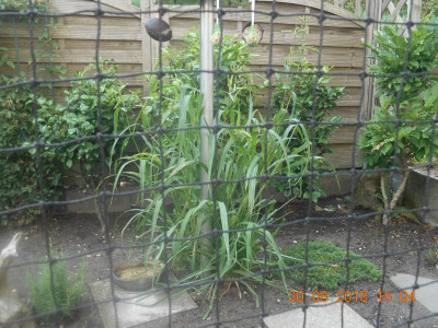DSCN4957.JPG