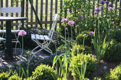 Garten-Ende-April-1.jpg