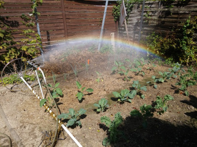 Regenbogenmaschine.jpg