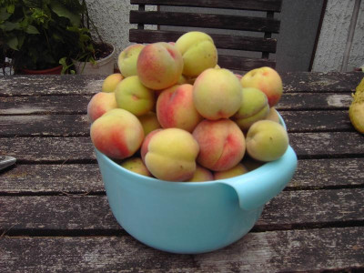PICT2349.JPG