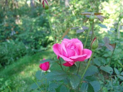 DSC02850.JPG