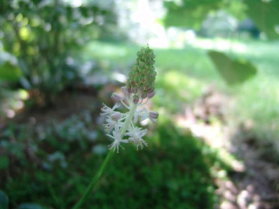 DSC02845.JPG