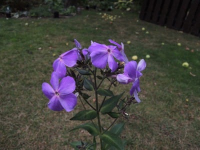 DSCN3355_3373.JPG