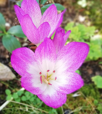 20180906_220916.jpg