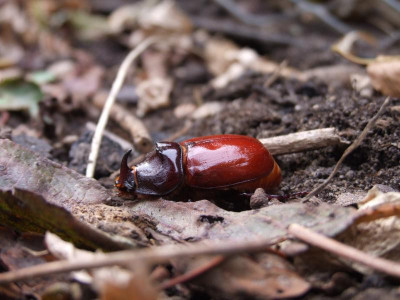 DSCF5533.JPG