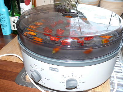 180908_Chili_2.jpg