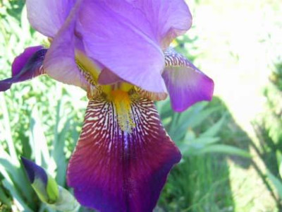 Don_Juan_PIC_0033.jpg