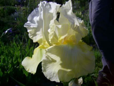 Truly_Yours_PIC_0048.jpg