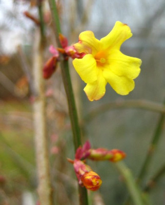 Spaziergang_in_der_Natur_002.jpg