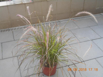 DSCN4968.JPG