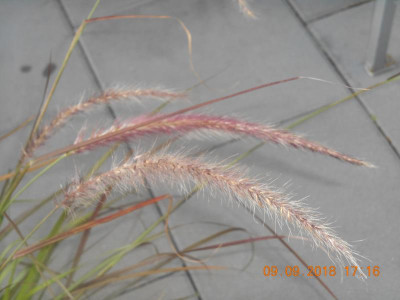 DSCN4963.JPG
