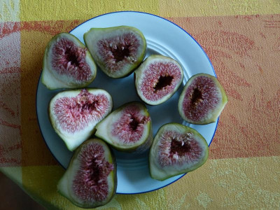 P1050253.JPG