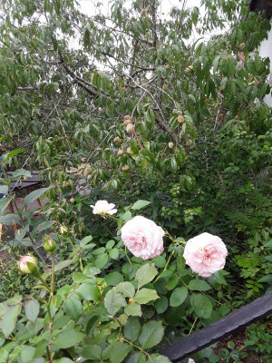20180910_125507.jpg