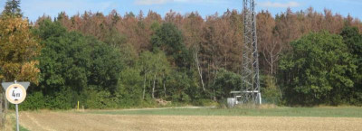 Fichtenbestand tot 030918.JPG