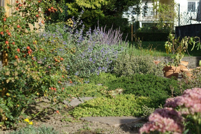 garten2.jpg