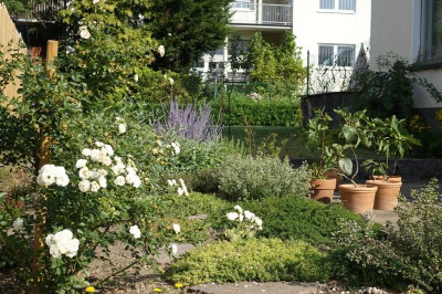 garten1.jpg