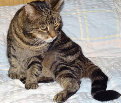 liese08.jpg