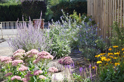 garten3.jpg