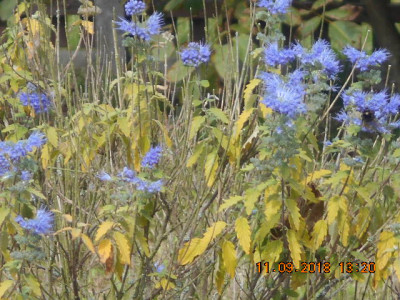 DSCN4798.jpg