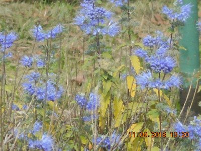 DSCN4800.jpg