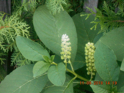 DSCN4847.jpg